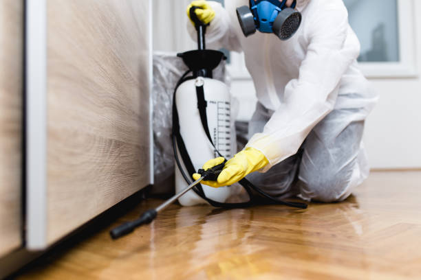 Best Pest Inspection Near Me  in Whitehorn Cove, OK