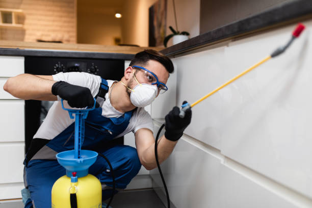 Best Wasp Removal Services  in Whitehorn Cove, OK