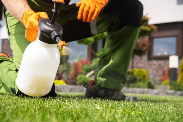 Best Wildlife Control Services  in Whitehorn Cove, OK