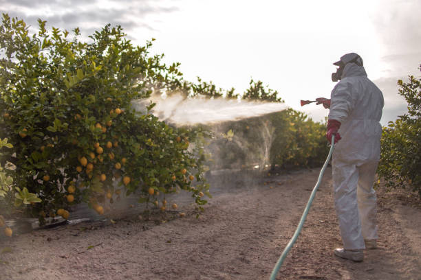 Best Affordable Pest Control Services  in Whitehorn Cove, OK