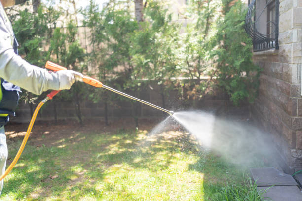 Best Mosquito Control Services  in Whitehorn Cove, OK