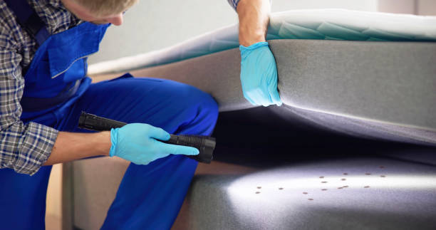 Best Local Pest Control Services  in Whitehorn Cove, OK