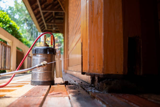 Best Ant Control Services  in Whitehorn Cove, OK