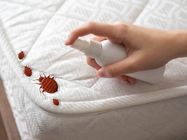  Whitehorn Cove, OK Pest Control Pros