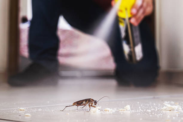 Best Emergency Pest Control  in Whitehorn Cove, OK