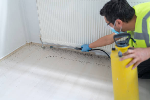 Best Pest Removal Services  in Whitehorn Cove, OK