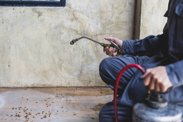 Best Residential Pest Control  in Whitehorn Cove, OK